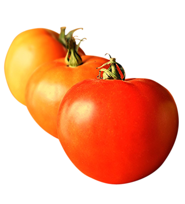 tomatoes image, tomatoes png, tomatoes png image, tomatoes transparent png image, tomatoes png full hd images